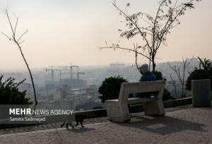 تمدید دورکاری ادارات در برخی شهرهای استان تهران؛ مراکز آموزشی مجازی شد