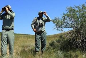 برخورد قاطع با هرگونه تخلفات زیست‌محیطی در سیستان و بلوچستان