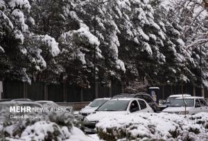 مبشری نسب:دمای هوای مشهد امشب به منفی ۲ درجه می رسد