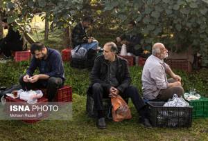 تغذیه اصولی گیاهان، رمز برداشت محصول پربار است