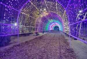 نورپردازی پهنه رودکی با رویکرد ارتقای نشاط شهری