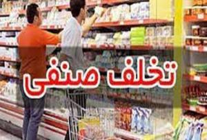 ۲۲ میلیارد ریال جریمه برای متخلفان صنفی و غیرصنفی در کردستان