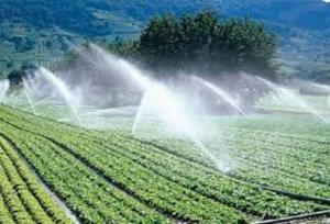 صرفه‌جویی آب کشاورزی با توسعه روش‌های نوین آبیاری در خراسان شمالی