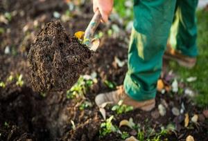 حفظ میراث طبیعی شهر بجنورد با اصلاح ساختار خاک
