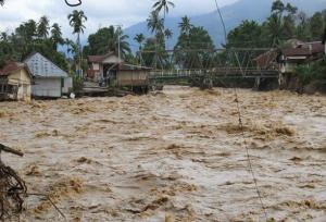 شمار قربانیان رانش زمین در اندونزی به ۲۴۸ نفر افزایش یافت