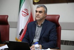 فرجی: کارت امید مادر برای بانوان دارای فرزند ۱۴۰۵ صادر می‌شود