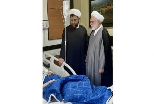 عیادت رئیس قوه قضائیه از حضرت آیت‌الله نوری همدانی