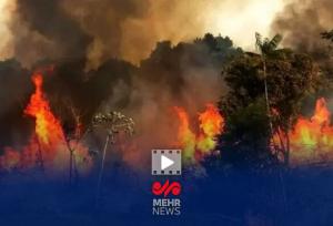 احتمال آتش‌سوزی دوباره در جنگل‌های الیت