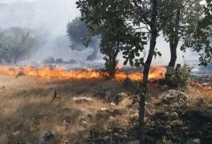 آتش‌سوزی جنگل‌های پلدختر هنوز مهار نشده است