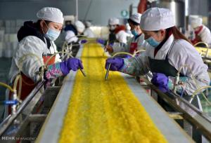 ادراک اندیشه چینی در مفهوم خودکفایی غلات