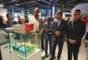 «آفریقا» شریک راهبردی ایران در زیست‌بوم فناوری و نوآوری