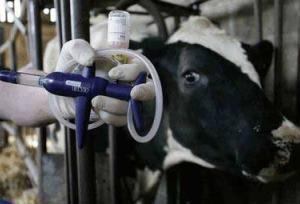 شناسایی ۱۸ کانون تب برفکی در کرمانشاه