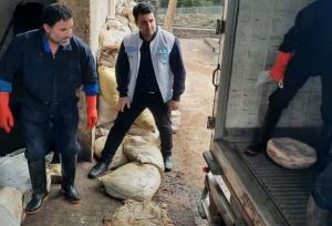 نیک کار: ۴ تُن فرآورده خام دامی غیربهداشتی در شفت کشف و معدوم شد