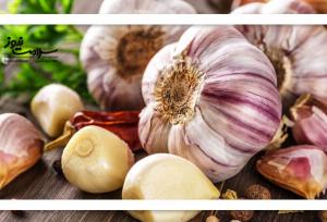 سیر علائم سرماخوردگی را کاهش میدهد؟