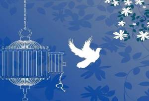 آزادی ۸۰ زندانی جرائم غیرعمد کردستان در جشن بزرگ نیمه شعبان