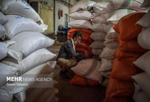 مرادی: توزیع بیش از ۶۵ تن برنج هندی در شبکه مویرگی بهارستان