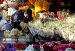مهلت یک‌ماهه برای جابجایی غرفه‌های بازار گل امام رضا تعیین شد