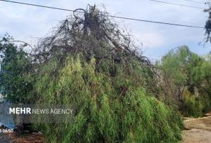 رکورد سرعت وزش باد در سواحل مکران شکسته شد