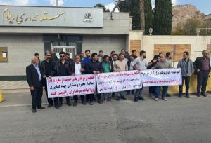 گلایه مرغداران ایلام از کمبود سویا و نهاده دامی