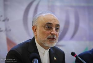صالحی: نام، رمز و حقیقت «ایران» اکنون اولویت‌دارترین امر حکمرانی است