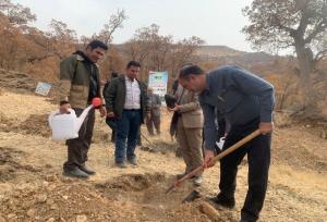 تولید ۸۰۰ هزار نهال در کهگیلویه و بویراحمد؛ کاشت نهال به نام هر بسیجی