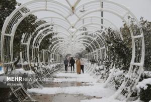 داداشی: هشدار زرد بارش برف و افت دما در خراسان شمالی صادر شد
