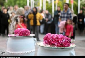 هشدار سازمان غذا و دارو: عرقیات فاقد مجوز بهداشتی نخرید