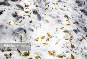 تصاویری از برف پاییزی در شهرستان درگز