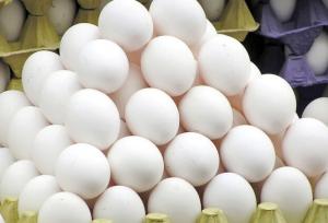 ادامه خرید حمایتی تخم‌مرغ تا پایان مرداد/ صادرات به سودان آغاز شد