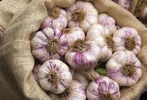 ضرورت احداث شهرک تخصصی فرآوری سیر/  ثبت جهانی سیر همدان