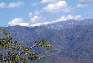 رفع تصرف ۷ هزار مترمربع از اراضی منطقه حفاظت شده آق داغ خلخال