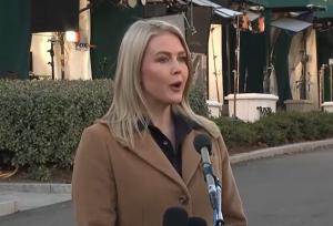 کاخ سفید: ترامپ درباره ونزوئلا چندین گزینه دارد