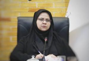 نظامی: دولت با مشوق های فرزندآوری از خانواده های چند قلو حمایت می کند