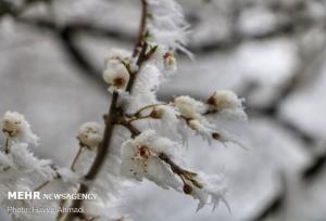 موج سرما تا پنجشنبه در استان ایلام ادامه دارد