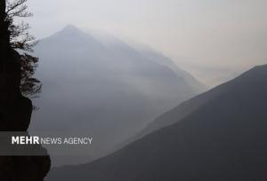 فخاری: فرد مصدوم وگمشده در جنگل دودانگه نجات یافت