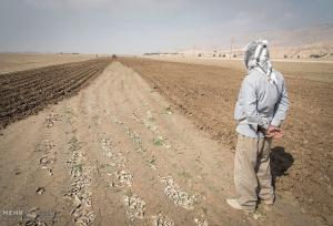 آب به کشاورزان رفیع رسید