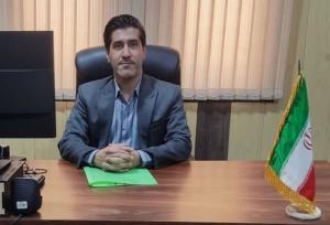 دستور جمع‌آوری سگ‌های ولگرد رزن صادر شد