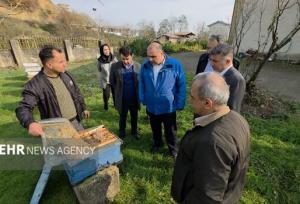 گلشن: حمایت از بخش خصوصی در توسعه زنبورداری گیلان ضروری است