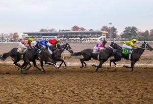 رقابت ۷۰ اسب در روز دوم هفته ششم کورس‌های پاییزی گنبدکاووس