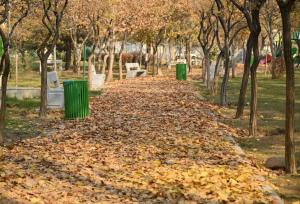 ثبت خاطرات پاییزی در گذر ازگل