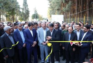آغاز سومین جشنواره ملی نان در کرمان