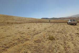 تخریب و تصرف اراضی ملی در روستای چوگان سنقر شناسایی شد