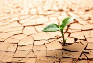 عبور از بحران خشکسالی با تغییر رویکرد سنتی