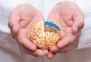 با این ۶ عادت صبحگاهی،مغز خود را در برابر آلزایمر ایمن کنید
