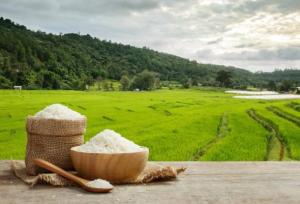 هشدار افزایش قیمت برنج با حذف ارز ۲۸۵۰۰ تومانی