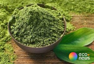 کارگاه حناسایی دلگان؛ پیوند سنت و اشتغال