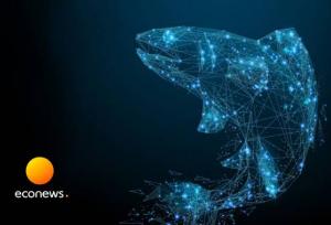 هوش مصنوعی به کمک ماهی‌های سالمون آمد