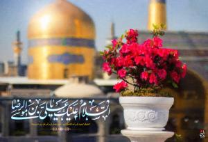وقتی امام رضا(ع) خود به دیدار زائرش آمد!