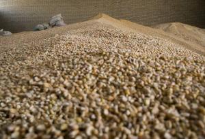 تخصیص به‌موقع ارز، شرط تامین به‌موقع کالاهای اساسی