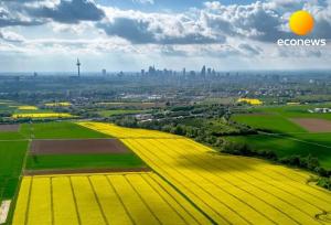  برنامه کشت فراسرزمینی ایران در روسیه، کنیا و تانزانیا